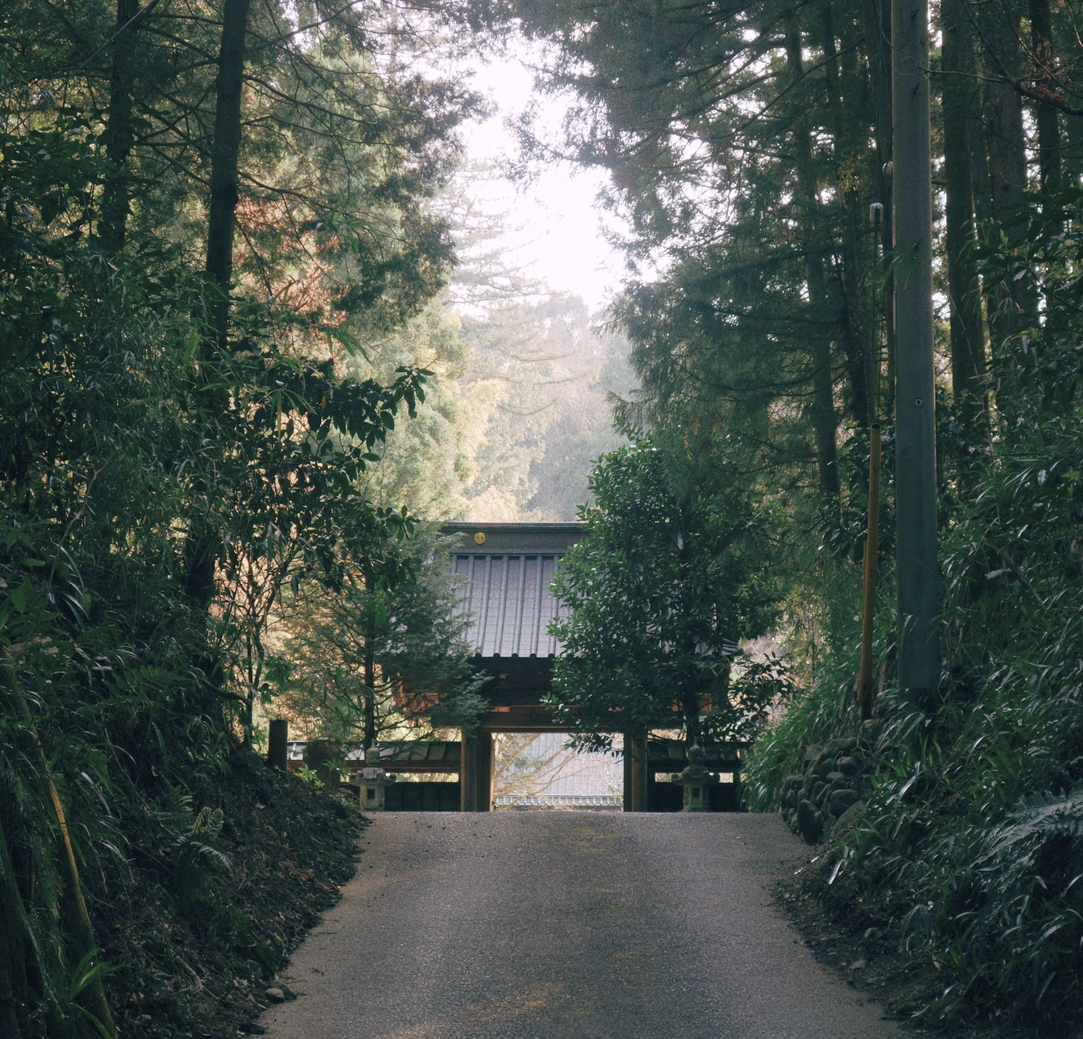 JAPAN NATURE.png