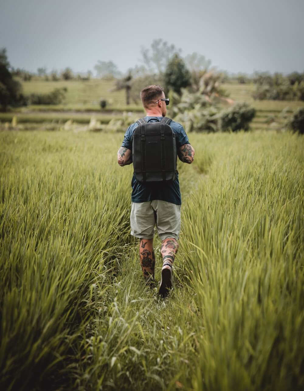 How to Create an Eco-Friendly Lifestyle