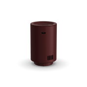 Maroon Red