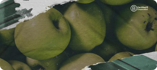 Teaser image of the Wallet Pro Apple Skin