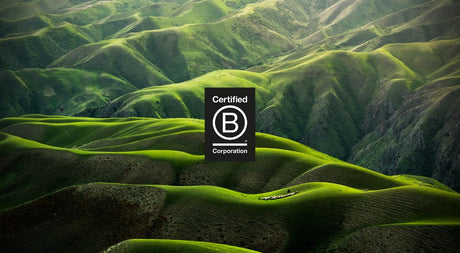 Ekster B Corporation