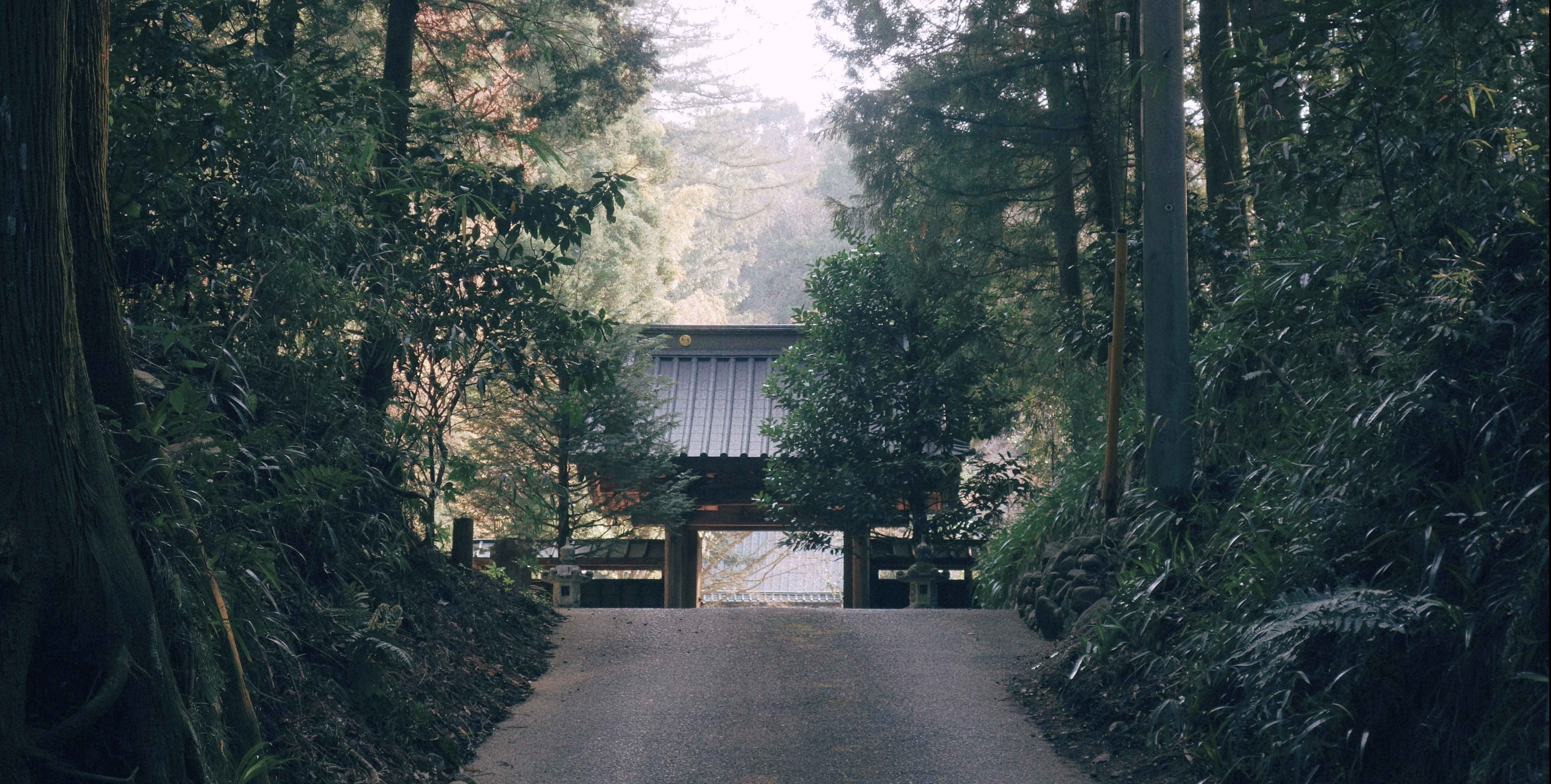 japan culture_11zon.jpg
